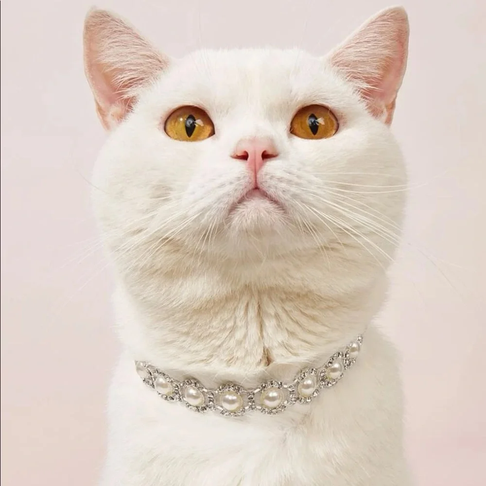 Rhinestone Decor Pet Necklace 🐈
